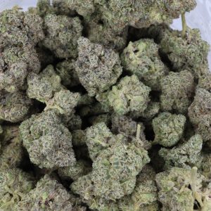 Jungle Fire – ($.$.$.$)
