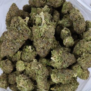 Purple Punch – ($.$)
