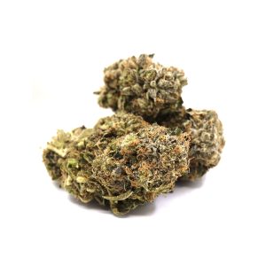 El Chapo – ($.$.$)