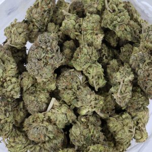 El Chapo – ($.$.$)