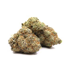 Jealousy – ($.$.$)