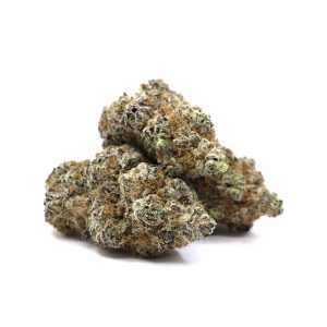 Blissful Wizard – ($.$.$.$)