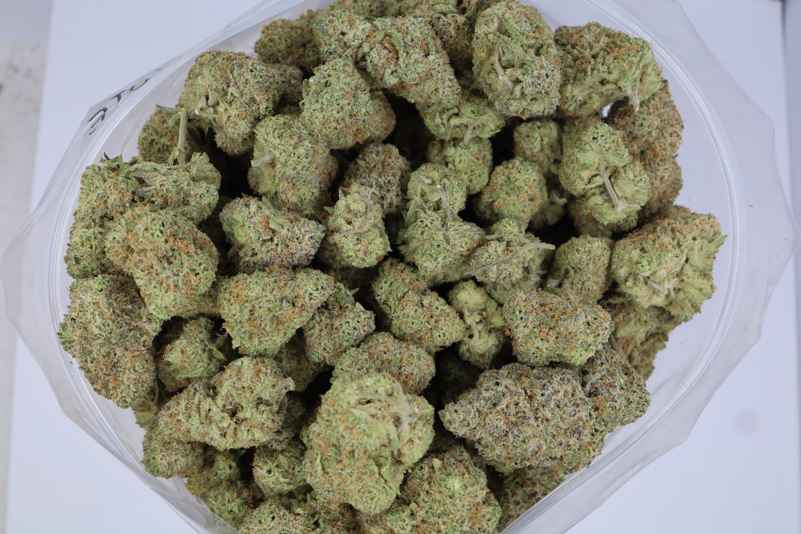 Galactic Jack - ($.$.$) - Image 2