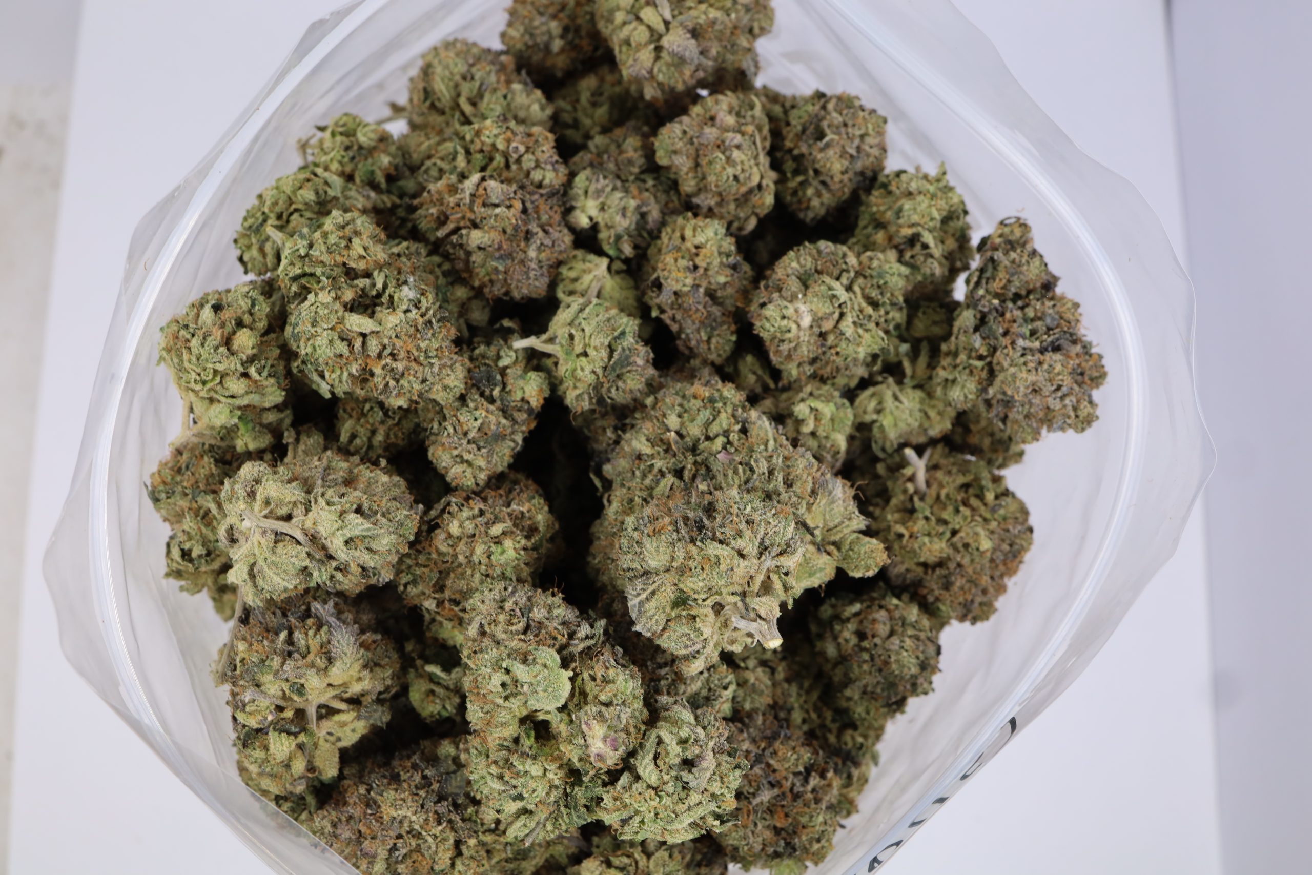 Platinum Rockstar - ($.$.$) - Image 2